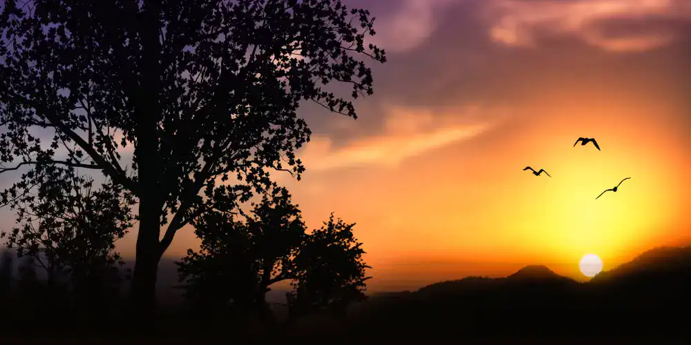 Silhouette von Bäumen und fliegenden Vögeln vor einem farbenfrohen Sonnenuntergang, der den Kreislauf des Lebens symbolisiert.